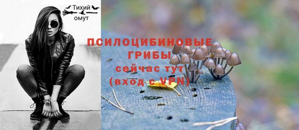 твердый Аркадак