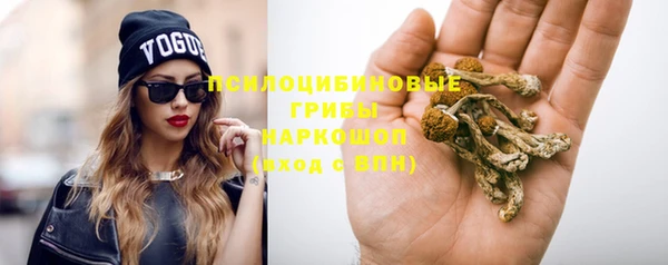 винт Арсеньев