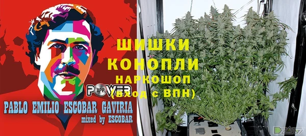 винт Арсеньев