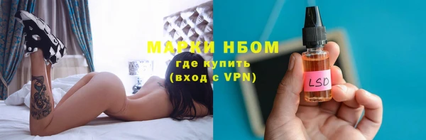 твердый Аркадак