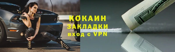 твердый Аркадак