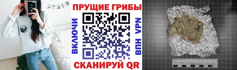 Псилоцибиновые грибы ЛСД цена наркотик Хвалынск